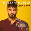 Mostafa Mezher - T'akkad Ya Habibi - Single